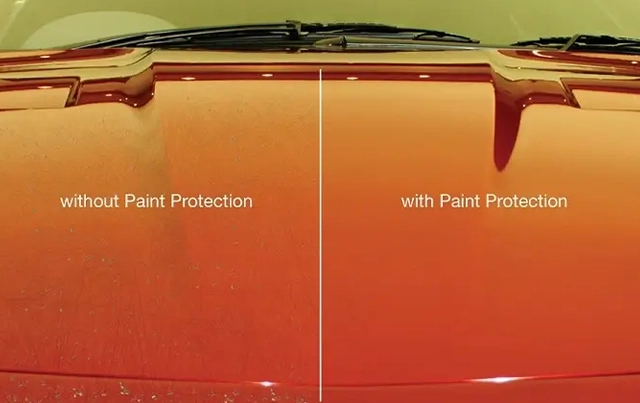 Professional Car Detailer Comparison