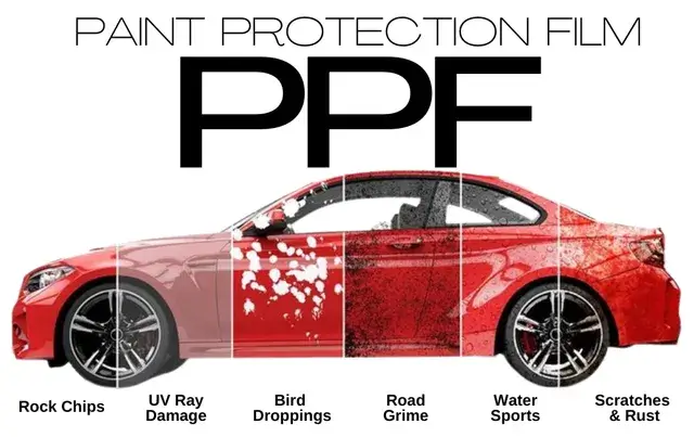 Visual representation of what PPF protects against